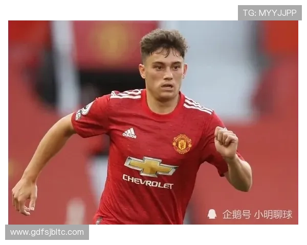 丹尼尔法尔克透露利兹联足总杯伤病隐忧